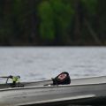 Doug-Elliott_relaxing_2014.jpg
