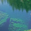 Doug-Elliott_deep-pool_on-Gordon-River_2008.jpg