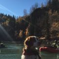Neil-Hodgson_three_rafts_and_best_friend-2015.JPG